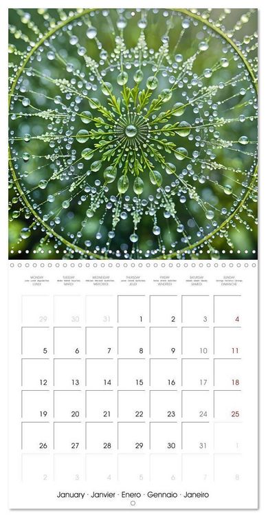 Produktbild: Mandalas of Mother Earth (Wall Calendar 2026 12 &times; 12 Inch) CALVENDO 12 Month Wall Calendar