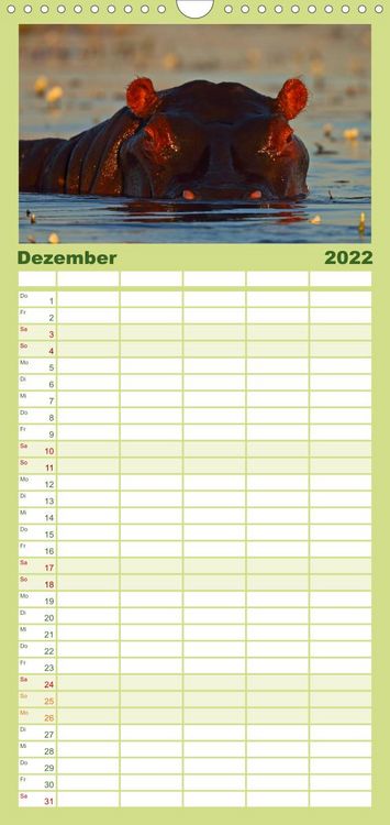 Produktbild: Flusspferde Magie des Augenblicks - Hippos in Afrika - Familienplaner hoch (Wandkalender 2022 , 21 cm x 45 cm, hoch)