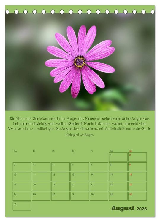 Produktbild: Erkenntnis und Weisheit - Hildegard von Bingen (Tischkalender 2026 DIN A5 hoch), CALVENDO Monatskalender