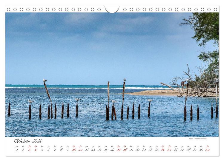 Produktbild: Natur pur, Costa Rica (Wandkalender 2026 DIN A4 quer), CALVENDO Monatskalender
