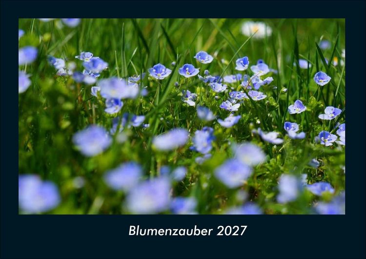 Produktbild: Blumenzauber 2027 Fotokalender DIN A4