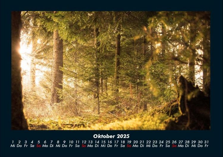 Produktbild: Waldzauber 2025 Fotokalender DIN A4