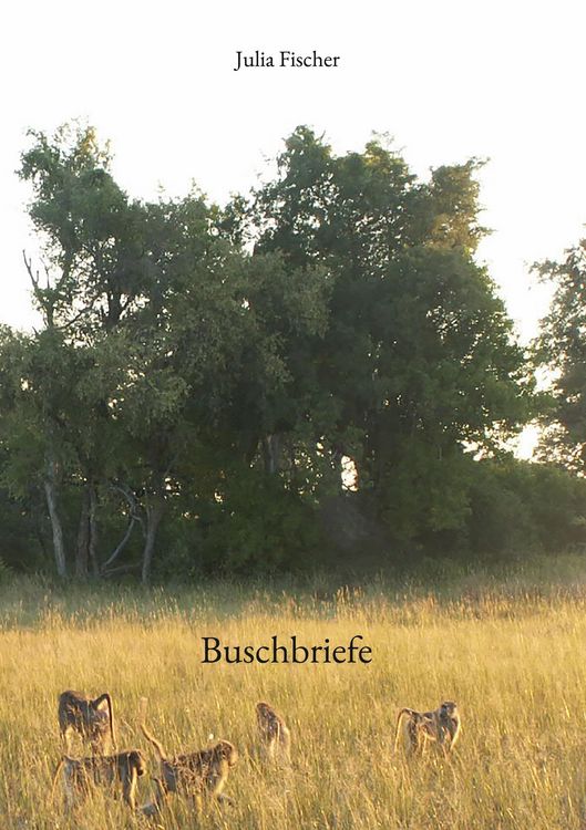 Produktbild: Buschbriefe