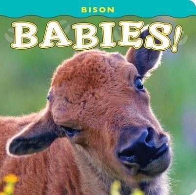 Produktbild: Bison Babies!