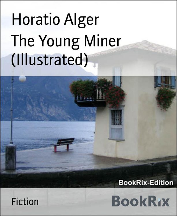 Produktbild: The Young Miner (Illustrated)