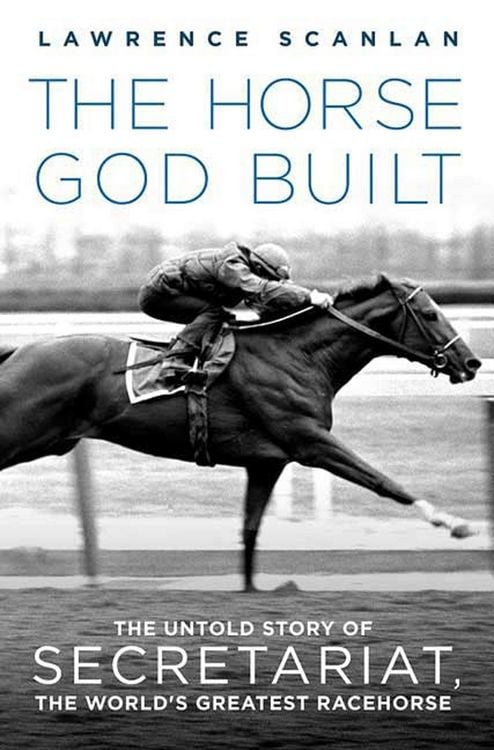 Produktbild: The Horse God Built
