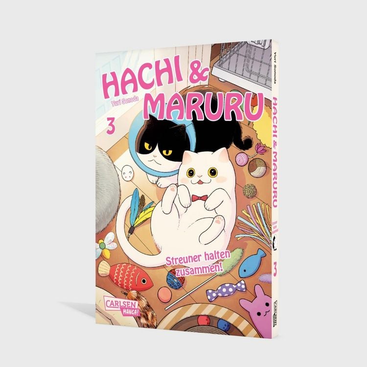 Produktbild: Hachi & Maruru &ndash; Streuner halten zusammen! 3