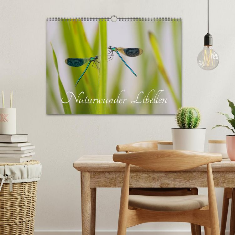 Produktbild: Naturwunder Libellen (Wandkalender 2026 DIN A3 quer), CALVENDO Monatskalender
