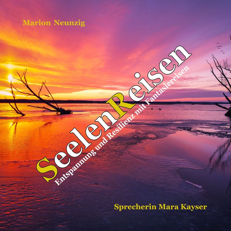 Produktbild: Seelenreisen