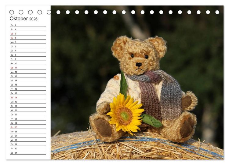 Produktbild: Teddy unterwegs (Tischkalender 2026 DIN A5 quer), CALVENDO Monatskalender