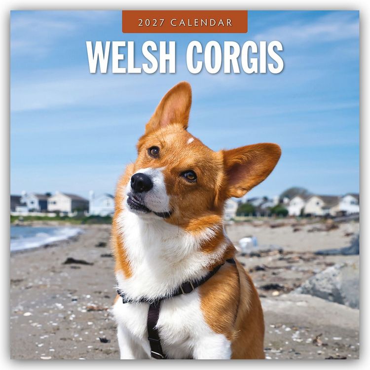 Produktbild: Welsh Corgis &ndash; Welsh Corgi 2027 &ndash; 16-Monatskalender