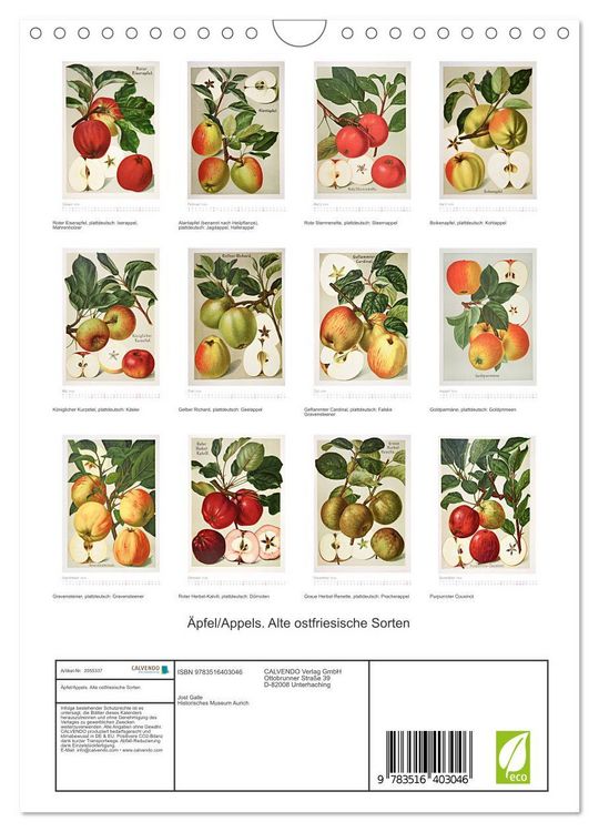 Produktbild: &Auml;pfel/Appels. Alte ostfriesische Sorten (Wandkalender 2026 DIN A4 hoch), CALVENDO Monatskalender