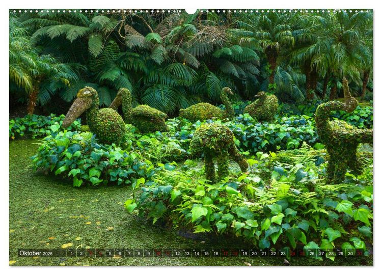 Produktbild: Terra Nostra Garten - ein botanisches Juwel auf den Azoren (Wandkalender 2026 DIN A2 quer), CALVENDO Monatskalender