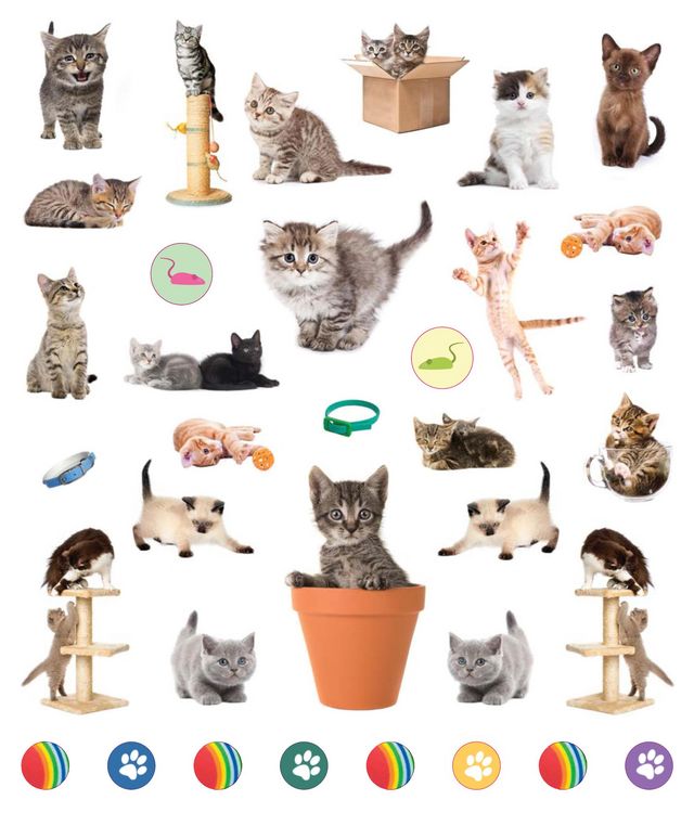 Produktbild: Eyelike Stickers: Kittens