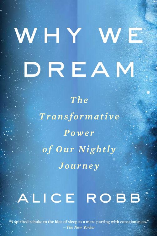Produktbild: Why We Dream