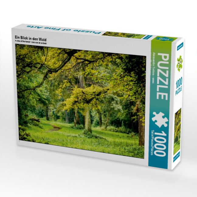 Produktbild: CALVENDO Puzzle Ein Blick in den Wald | 1000 Teile Lege-Gr&ouml;&szlig;e 64x48cm Foto-Puzzle f&uuml;r gl&uuml;ckliche Stunden