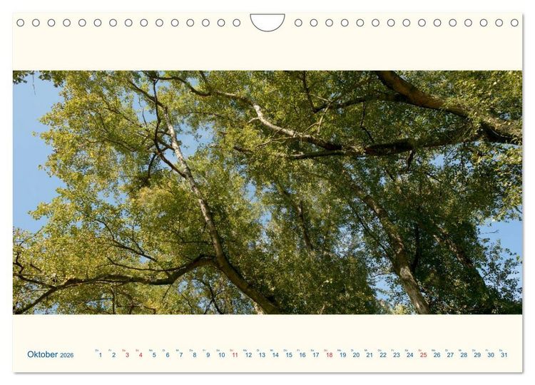 Produktbild: Am Rhein - Urdenbacher K&auml;mpe (Wandkalender 2026 DIN A4 quer), CALVENDO Monatskalender
