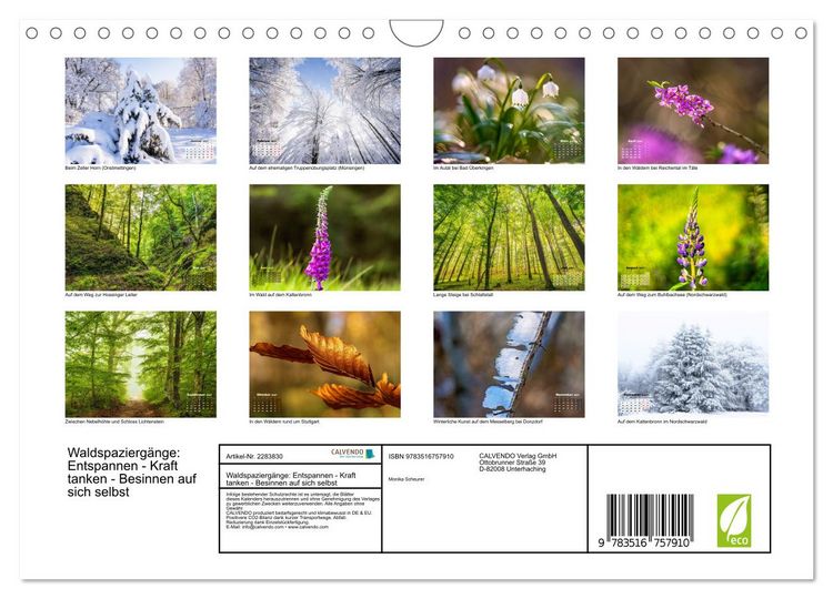 Produktbild: Waldspazierg&auml;nge: Entspannen - Kraft tanken - Besinnen auf sich selbst (Wandkalender 2027 DIN A4 quer), CALVENDO Monatskalender