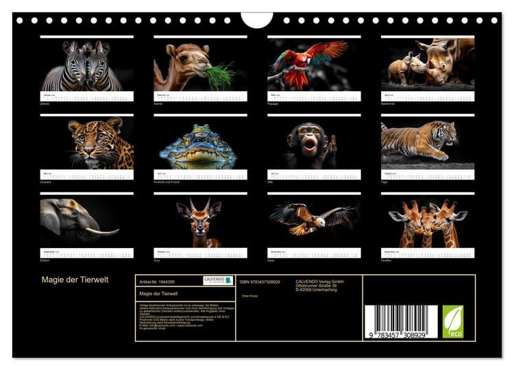 Produktbild: Magie der Tierwelt (Wandkalender 2026 DIN A4 quer), CALVENDO Monatskalender