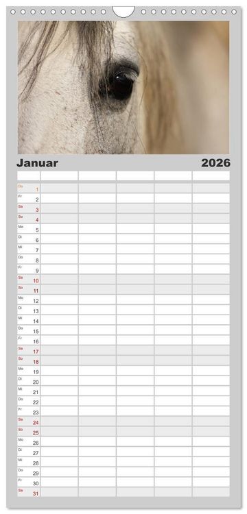 Produktbild: Familienplaner 2026 - Pferde - im Galopp durch's Jahr mit 5 Spalten (Wandkalender, 21 x 45 cm) CALVENDO