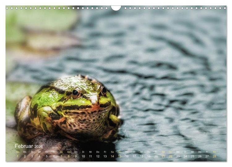 Produktbild: Fr&ouml;sche zum Verlieben (Wandkalender 2026 DIN A3 quer), CALVENDO Monatskalender