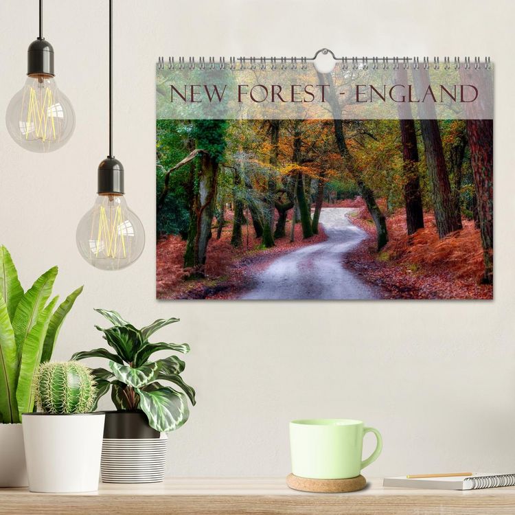 Produktbild: New Forest - England (Wandkalender 2026 DIN A4 quer), CALVENDO Monatskalender