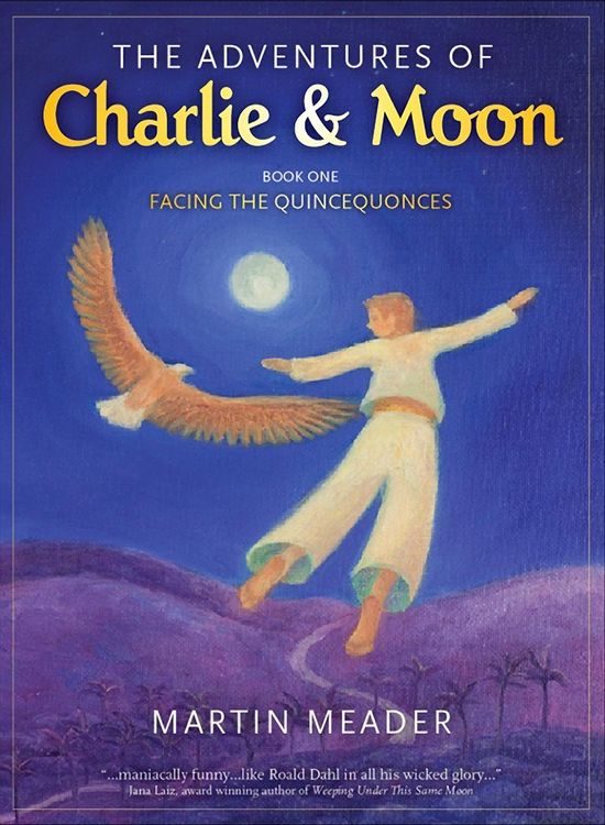 Produktbild: The Adventures of Charlie & Moon