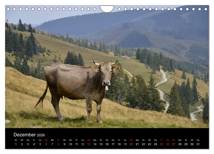 Produktbild: Maramures - Rum&auml;niens zeitloser Norden (Wandkalender 2026 DIN A4 quer), CALVENDO Monatskalender