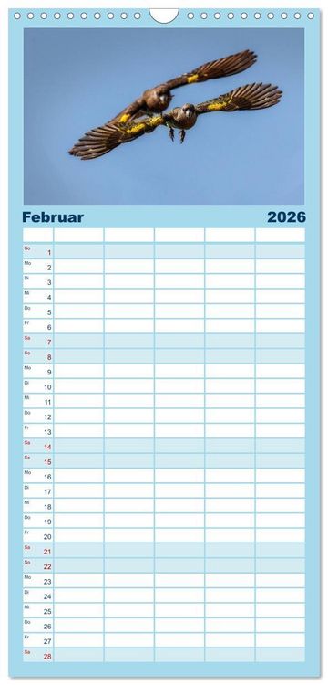 Produktbild: Familienplaner 2026 - Papageien - Frech, sch&ouml;n und schlau mit 5 Spalten (Wandkalender, 21 x 45 cm) CALVENDO