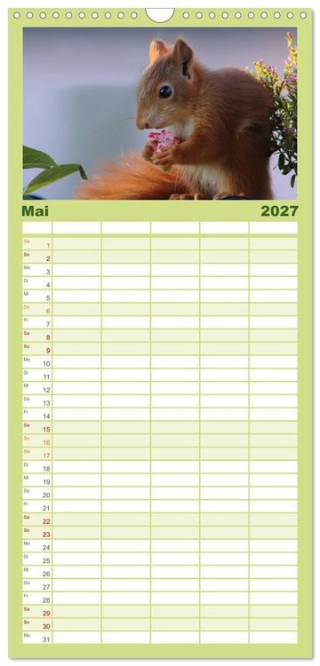 Produktbild: Familienplaner 2027 - Eichh&ouml;rnchen Kinder mit 5 Spalten (Wandkalender, 21 x 45 cm) CALVENDO