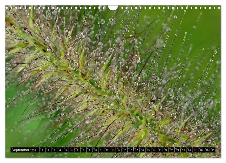 Produktbild: Wassertropfen - Diamanten des Lebens (Wandkalender 2026 DIN A3 quer), CALVENDO Monatskalender