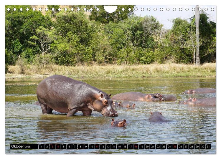 Produktbild: Afrikas Perle Uganda (Wandkalender 2026 DIN A4 quer), CALVENDO Monatskalender