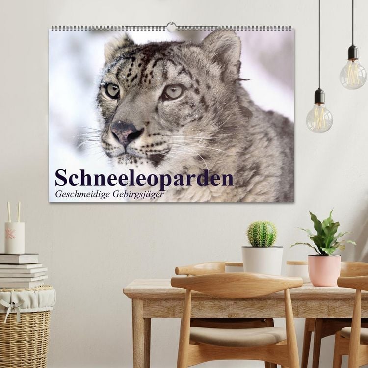 Produktbild: Schneeleoparden. Geschmeidige Gebirgsj&auml;ger (Wandkalender 2026 DIN A2 quer), CALVENDO Monatskalender