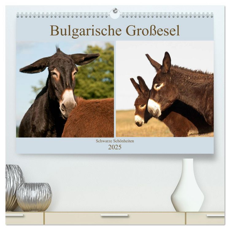 Produktbild: Bulgarische Gro&szlig;esel - Schwarze Sch&ouml;nheiten (hochwertiger Premium Wandkalender 2025 DIN A2 quer), Kunstdruck in Hochglanz