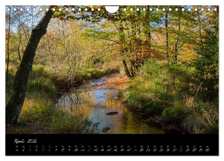 Produktbild: Hochmoor Hohes Venn (Wandkalender 2026 DIN A4 quer), CALVENDO Monatskalender