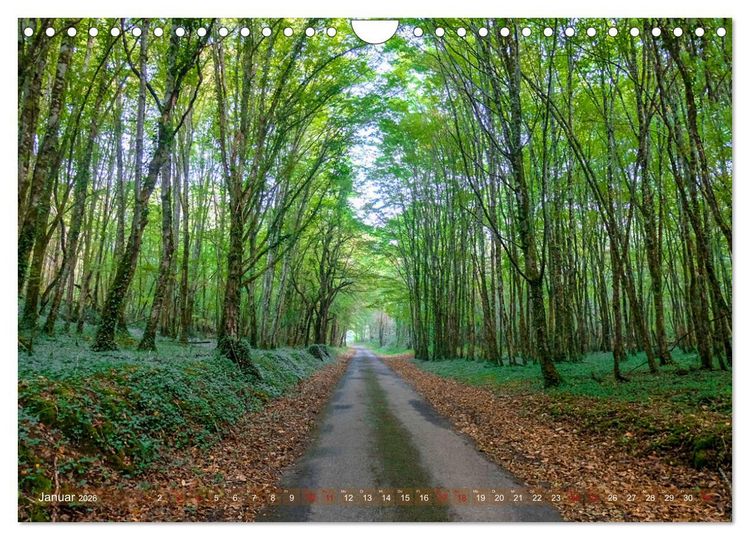 Produktbild: Dordogne Mon Amour (Wandkalender 2026 DIN A4 quer), CALVENDO Monatskalender