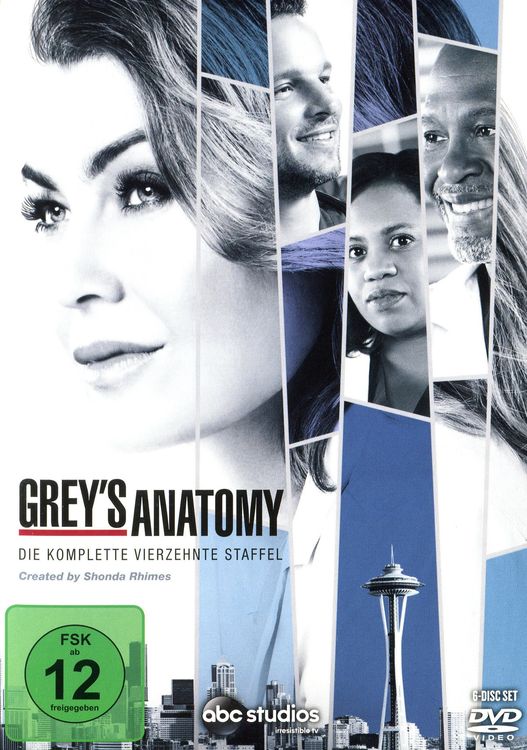Bild vom Artikel Grey's Anatomy - Staffel 14 [6 DVDs] vom Autor Chandra Wilson