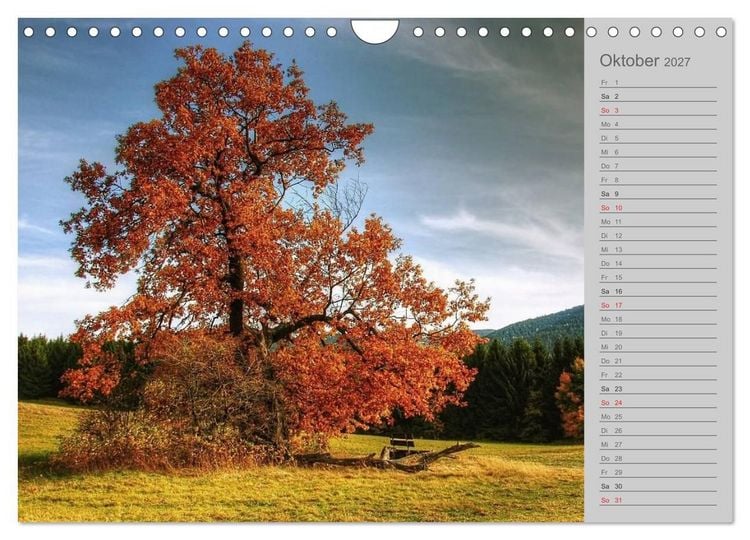 Produktbild: Zwischen Harz und Heide (Wandkalender 2027 DIN A4 quer), CALVENDO Monatskalender