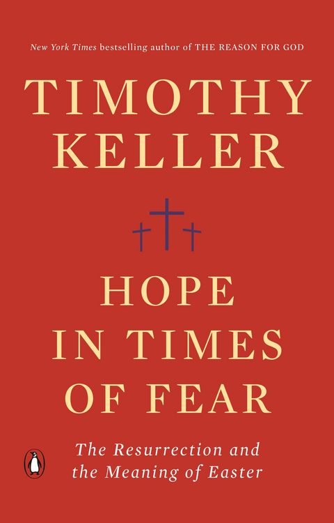 Produktbild: Hope in Times of Fear