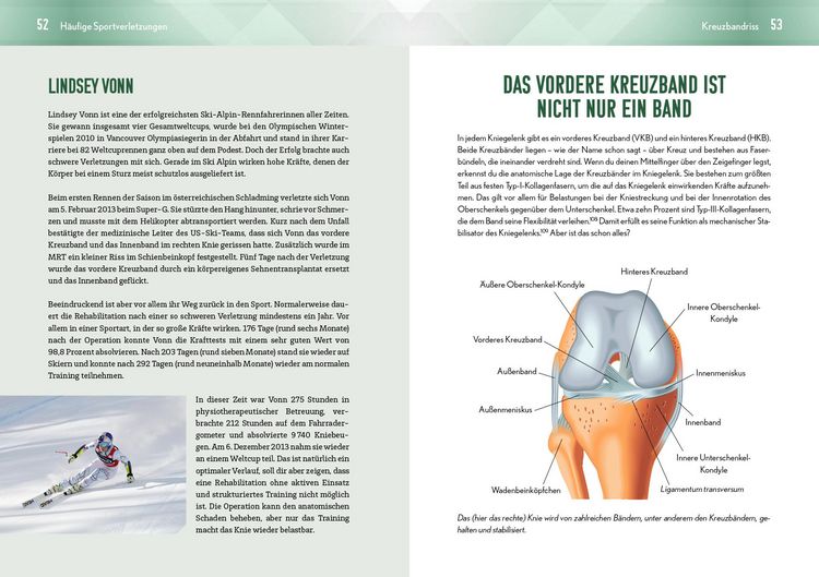 Produktbild: Back in the game &ndash; dein Programm f&uuml;r den optimalen Wiedereinstieg