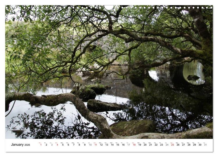 Produktbild: Charming - Mystic Devon Dartmoor, South England (Wall Calendar 2026 DIN A3 landscape), CALVENDO 12 Month Wall Calendar