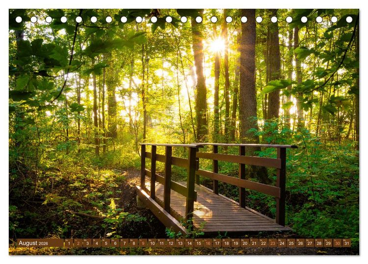 Produktbild: Herbst im Dieskauer Park (Tischkalender 2026 DIN A5 quer), CALVENDO Monatskalender