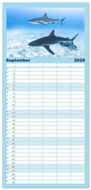 Produktbild: Familienplaner 2026 - Haie - Vorsicht gef&auml;hrlich! mit 5 Spalten (Wandkalender, 21 x 45 cm) CALVENDO
