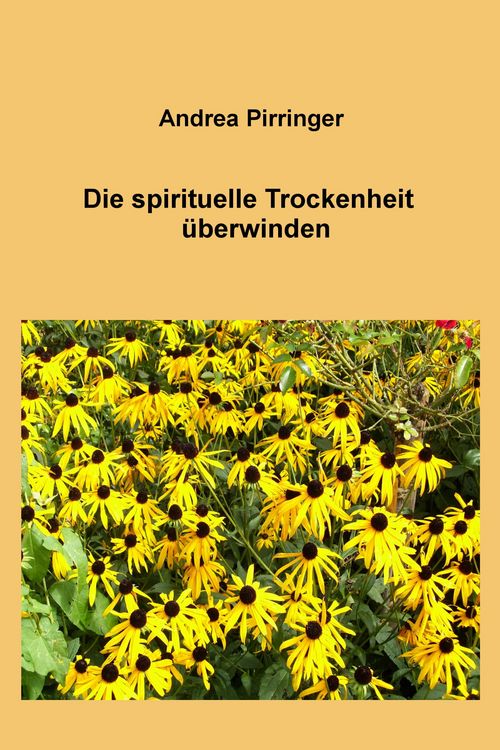 Produktbild: Die spirituelle Trockenheit &uuml;berwinden
