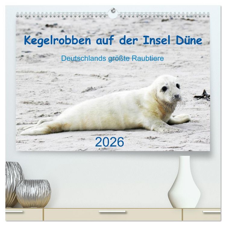 Produktbild: Kegelrobben auf der Insel D&uuml;ne (hochwertiger Premium Wandkalender 2026 DIN A2 quer), Kunstdruck in Hochglanz