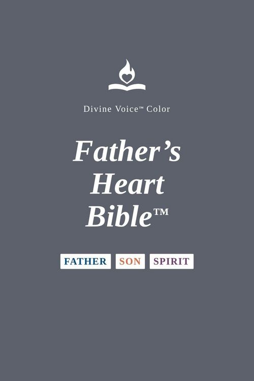Produktbild: Father's Heart Bible - Large Print - Charcoal Paperback