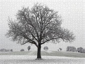 Produktbild: CALVENDO Puzzle Dezember | 1000 Teile Lege-Gr&ouml;&szlig;e 64x48cm Foto-Puzzle f&uuml;r gl&uuml;ckliche Stunden