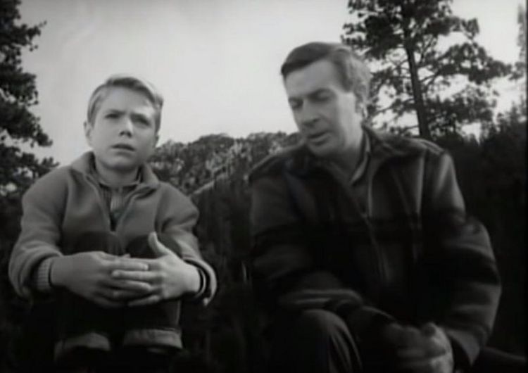 Produktbild: Lassie verschwindet