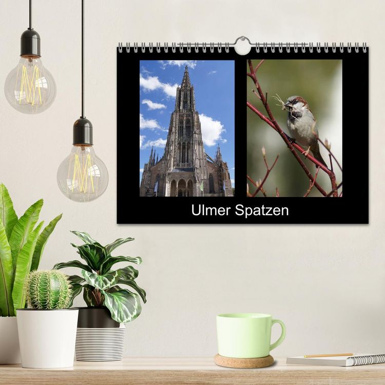 Produktbild: Ulmer Spatzen (Wandkalender 2026 DIN A4 quer), CALVENDO Monatskalender