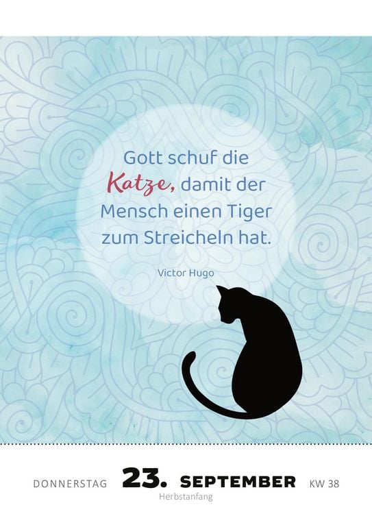 Produktbild: Abrei&szlig;kalender Katzenweisheiten 2027